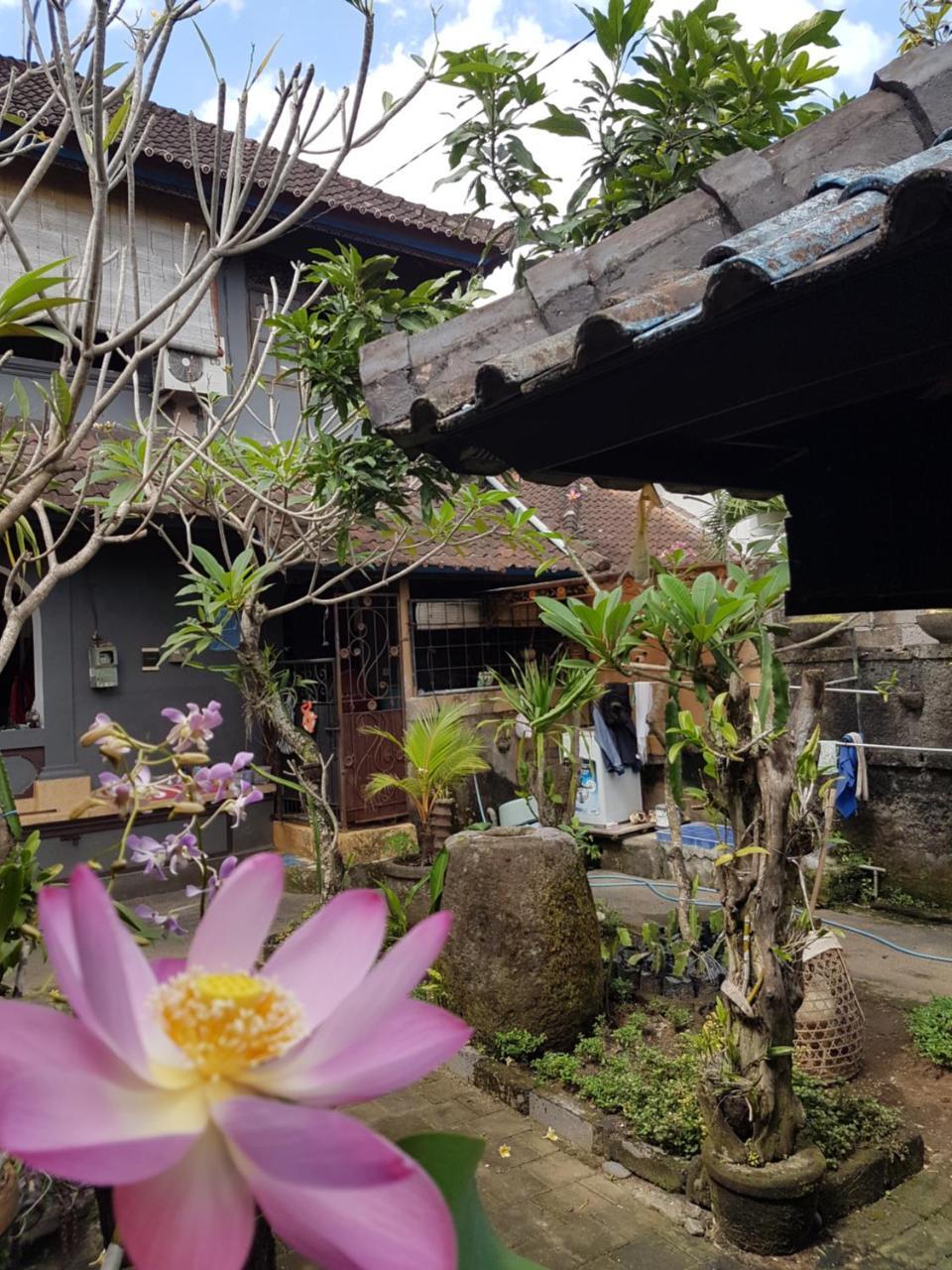 Mawar Homestay Canggu エクステリア 写真